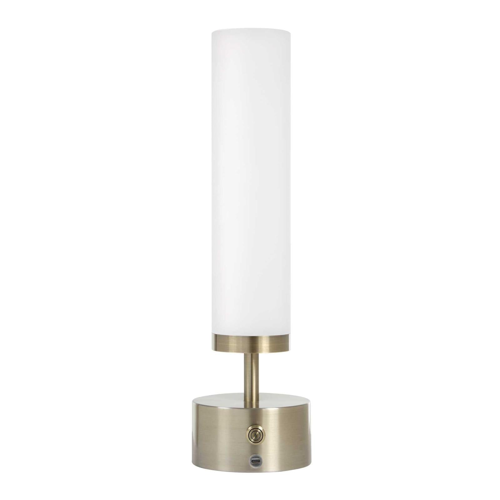 Uttermost Auden Rechargeable LED Accent Lamp