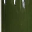 Uttermost Nacua Green Table Lamp