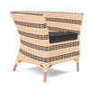 Amy Lounge Chair