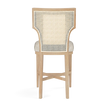 Carleen Cane Counter Stool