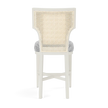 Carleen Cane Counter Stool