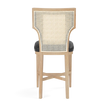Carleen Cane Counter Stool