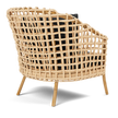 Ismael Lounge Chair