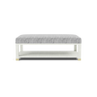 Lafeu Upholstered Coffee Table