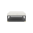 Lafeu Upholstered Coffee Table
