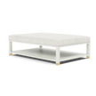 Lafeu Upholstered Coffee Table