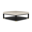 Lafeu Upholstered Coffee Table