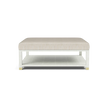 Lafeu Upholstered Coffee Table