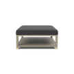 Lafeu Upholstered Coffee Table