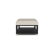 Lafeu Upholstered Coffee Table