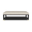 Lafeu Upholstered Coffee Table
