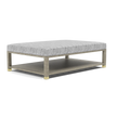 Lafeu Upholstered Coffee Table