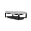 Lafeu Upholstered Coffee Table