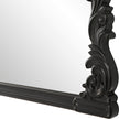 Modern Accents Baroque Style Mirror
