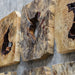 Uttermost Bahati Wood Wall Decor - Set of 9