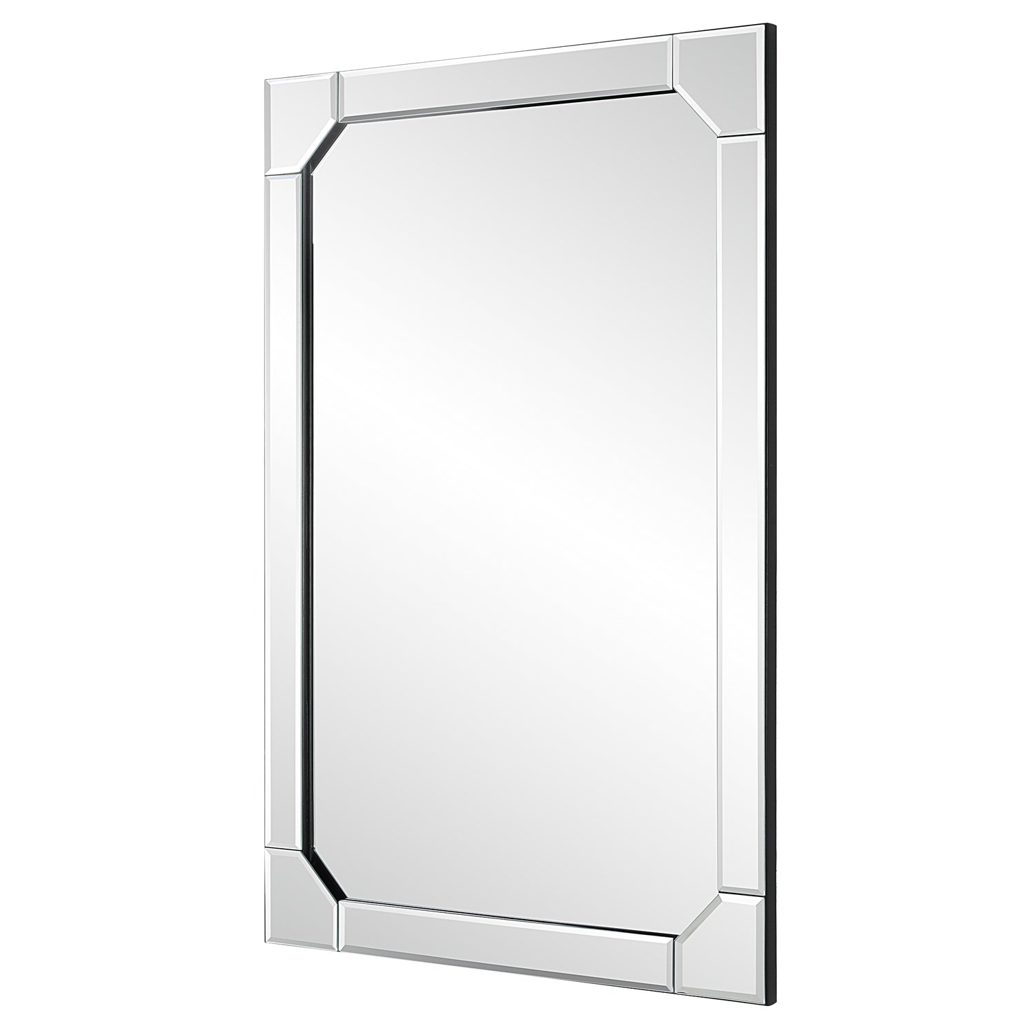 Modern Accents Elevated Look Rectangular Mirror