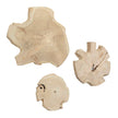 Uttermost Kalani Wood Outdoor Wall Art - Set of 3