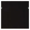 Uttermost Tiger Sea Urchin Shadow Box