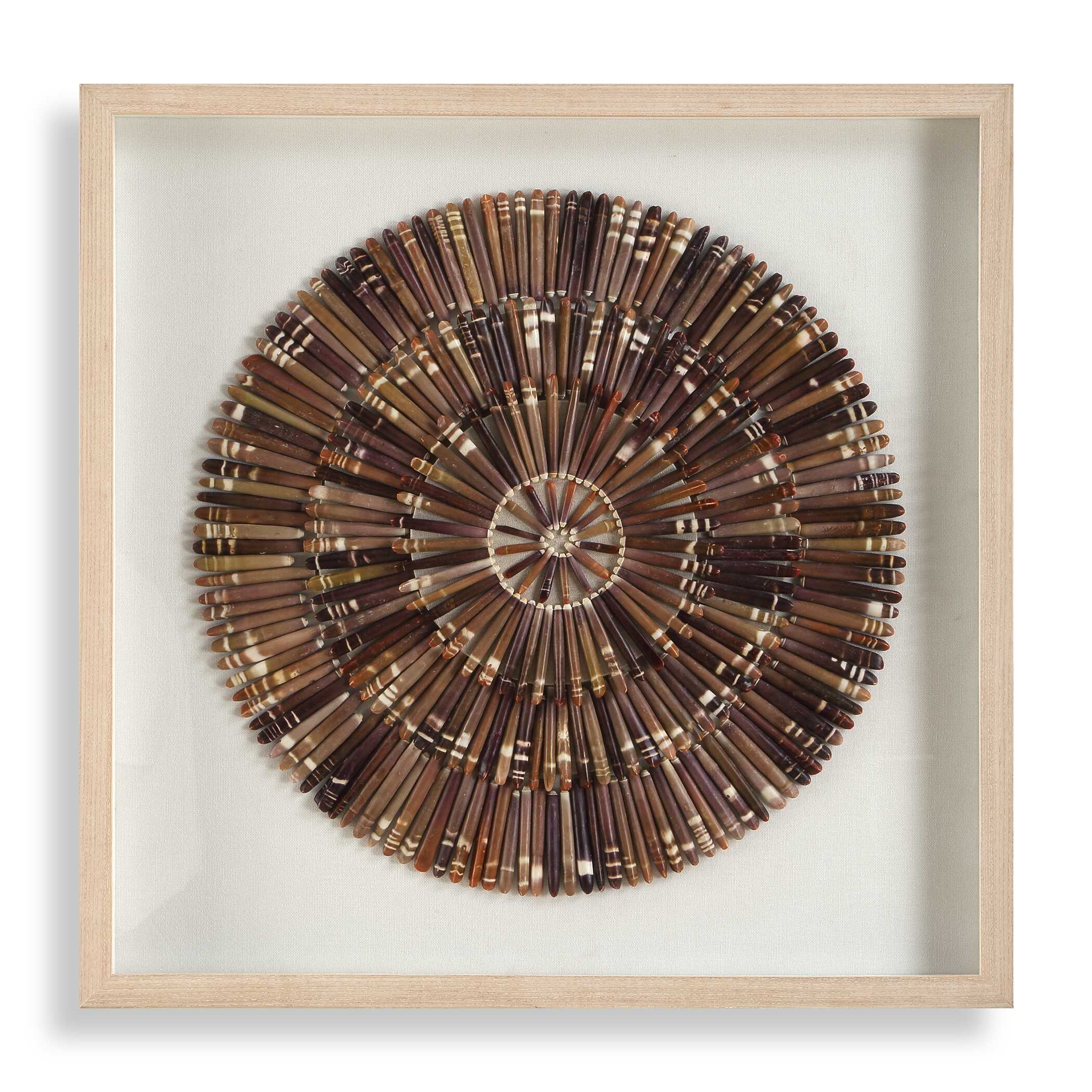 Uttermost Tiger Sea Urchin Shadow Box