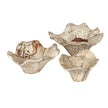 Uttermost Teo Bleached Wood Wall Decor - Set of 3
