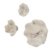 Uttermost Teo Bleached Wood Wall Decor - Set of 3