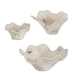 Uttermost Teo Bleached Wood Wall Decor - Set of 3