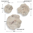 Uttermost Teo Bleached Wood Wall Decor - Set of 3