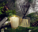 Nest Birchwood Pine Classic Candle & Diffuser Set