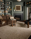 Loloi II Newman NEW-01 Taupe / Bone Rug DC10
