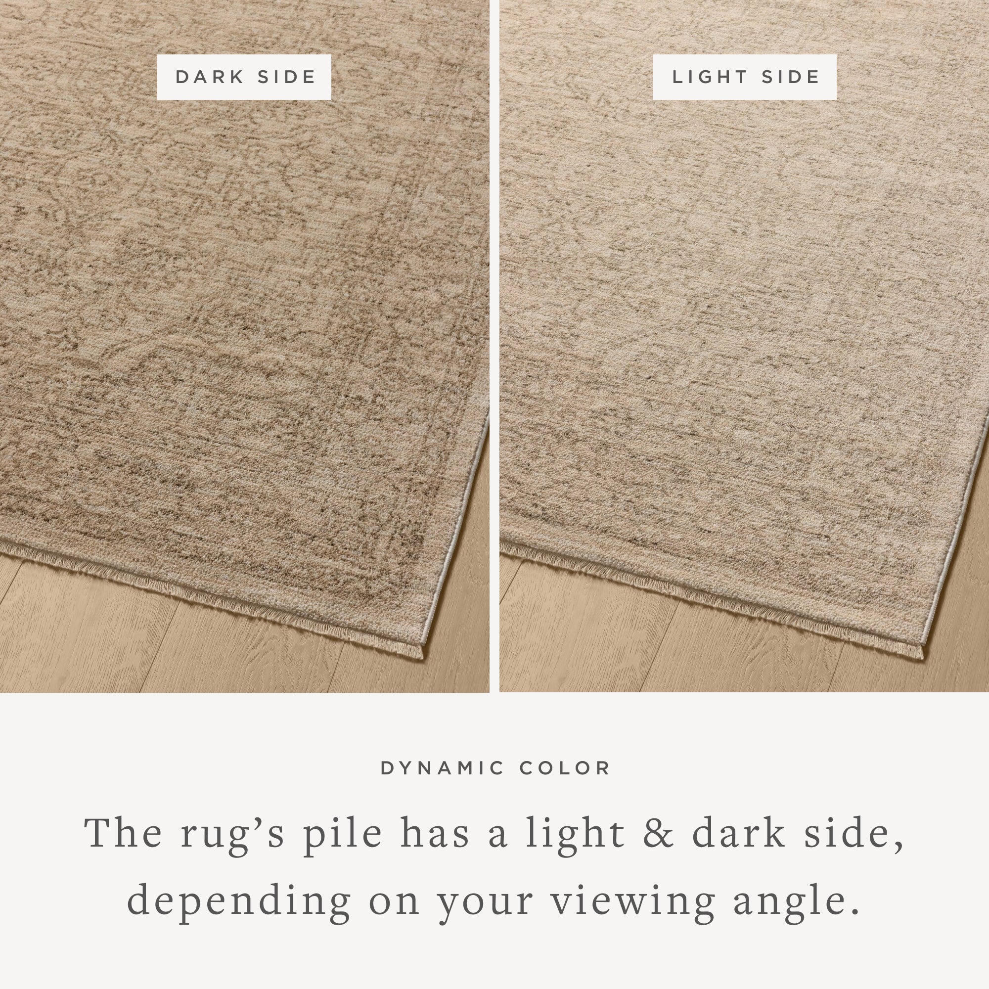 Loloi II Newman NEW-01 Taupe / Bone Rug DC10