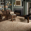 Loloi II Newman NEW-02 Wheat / Natural Rug DC10