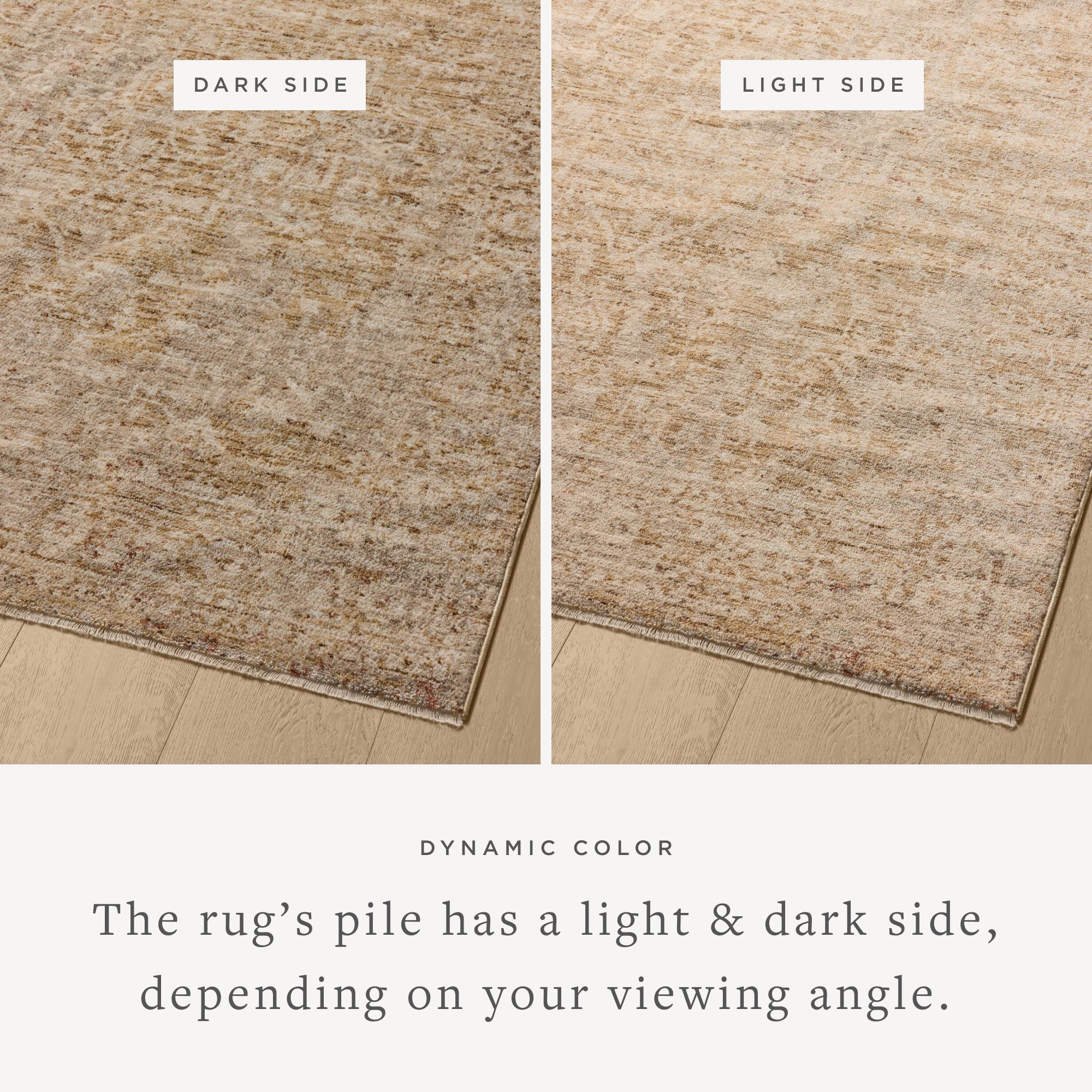Loloi II Newman NEW-02 Wheat / Natural Rug DC10