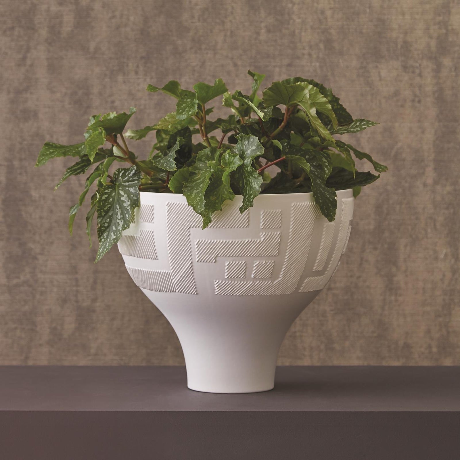 Global Views Matte White Chaco Bowl