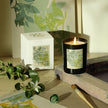 Lalique Néroli, Casablanca - Morocco, Scented Candle, 2025 Edition