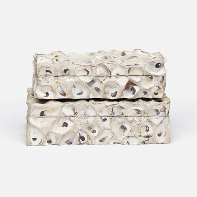 Cove Oyster Shell Box - Set of 2