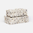 Cove Oyster Shell Box - Set of 2
