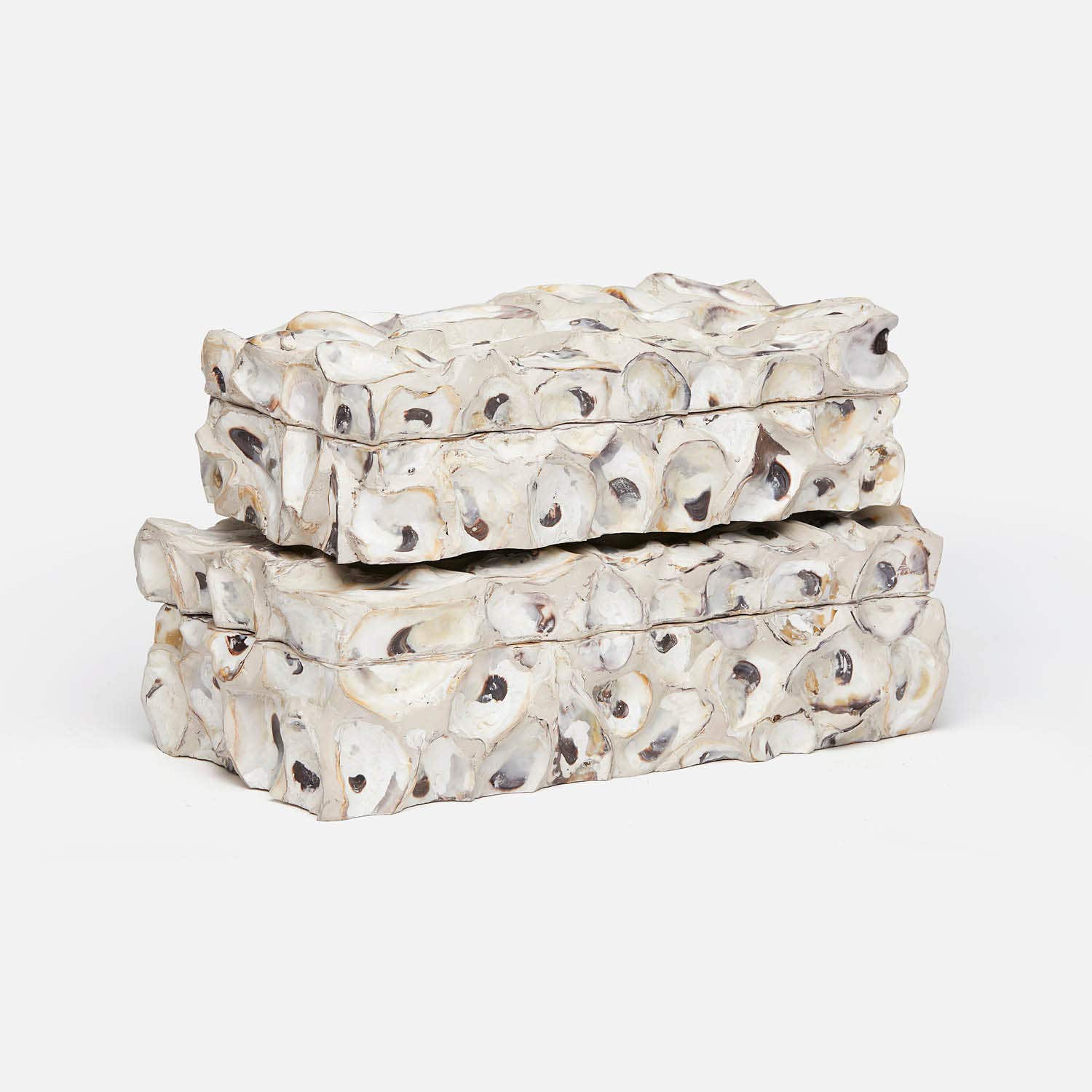 Cove Oyster Shell Box - Set of 2