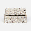 Cove Oyster Shell Box - Set of 2