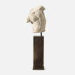 Kempsey Stone Torso Sculpture