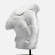 Kempsey Stone Torso Sculpture