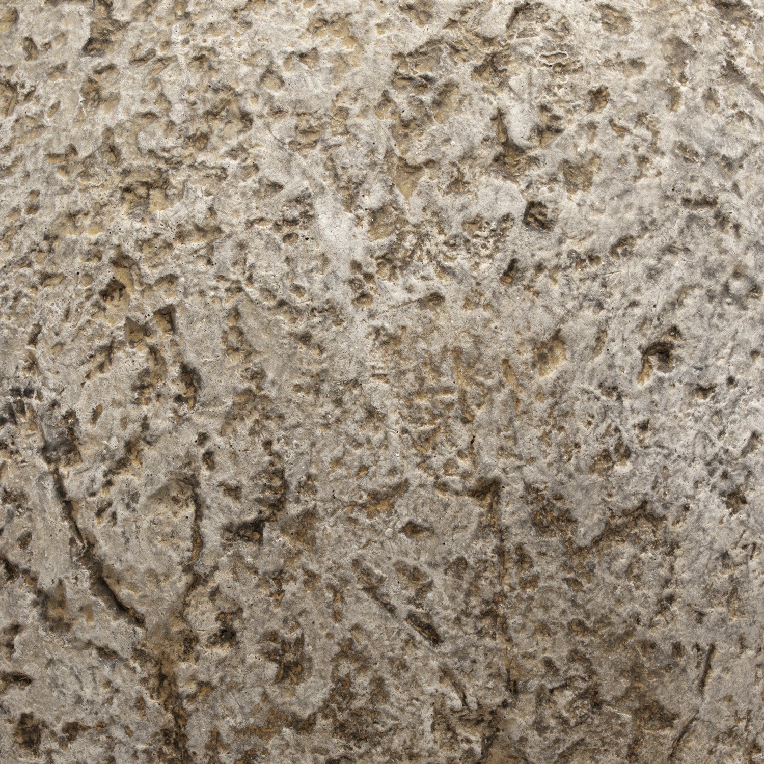 Molly Decorative Cement Large Sphere