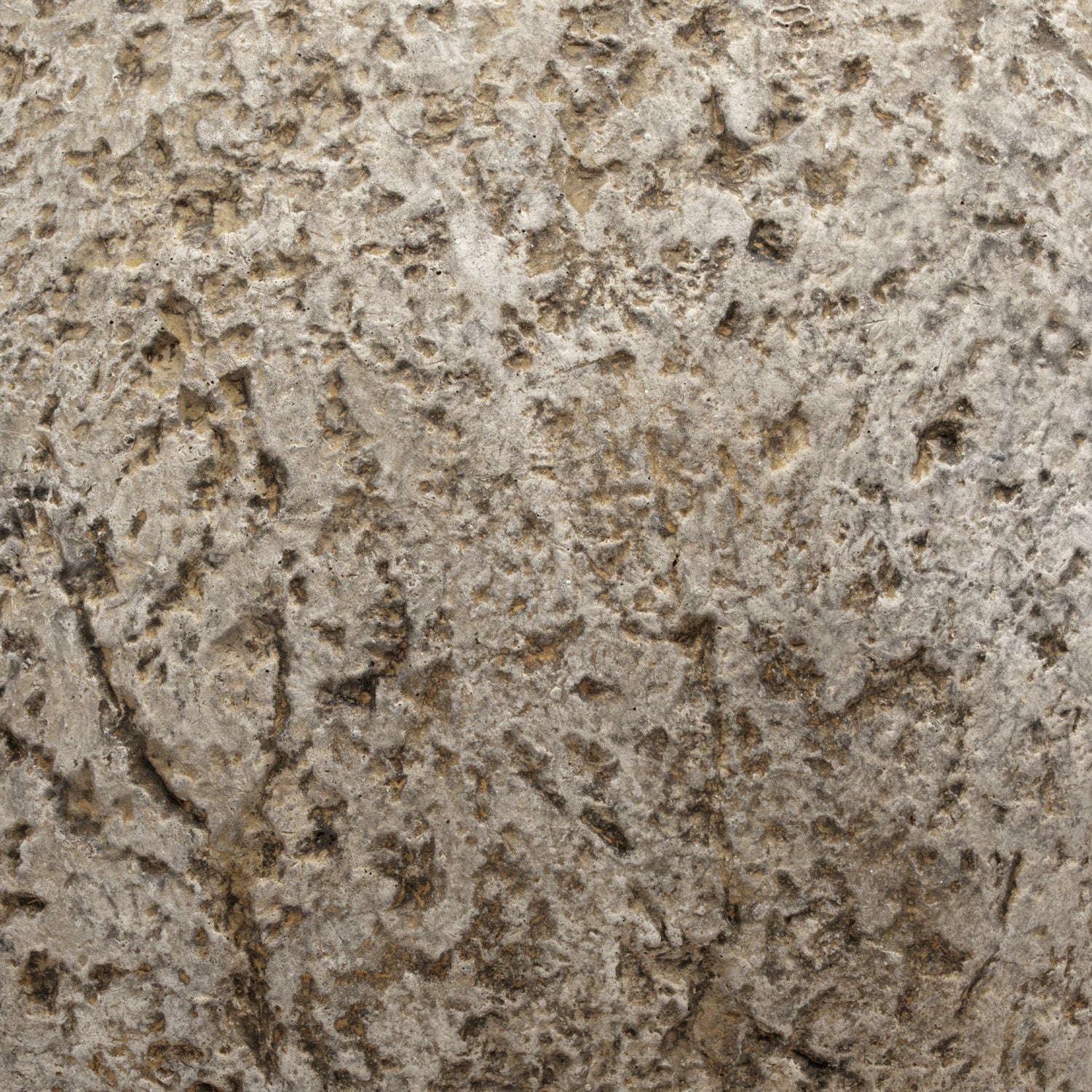 Molly Decorative Cement Sphere - Set of 2