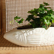 Rockford Fish Design Bowl - Set of 2