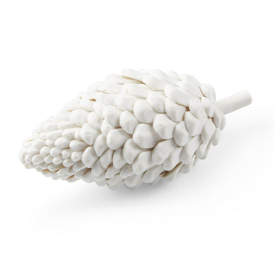 Villa & House Laying Pine Cone