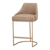 Essentials For Living Parissa Counter Stool Set of 2