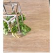 Essentials For Living Plaza Extension Dining Table