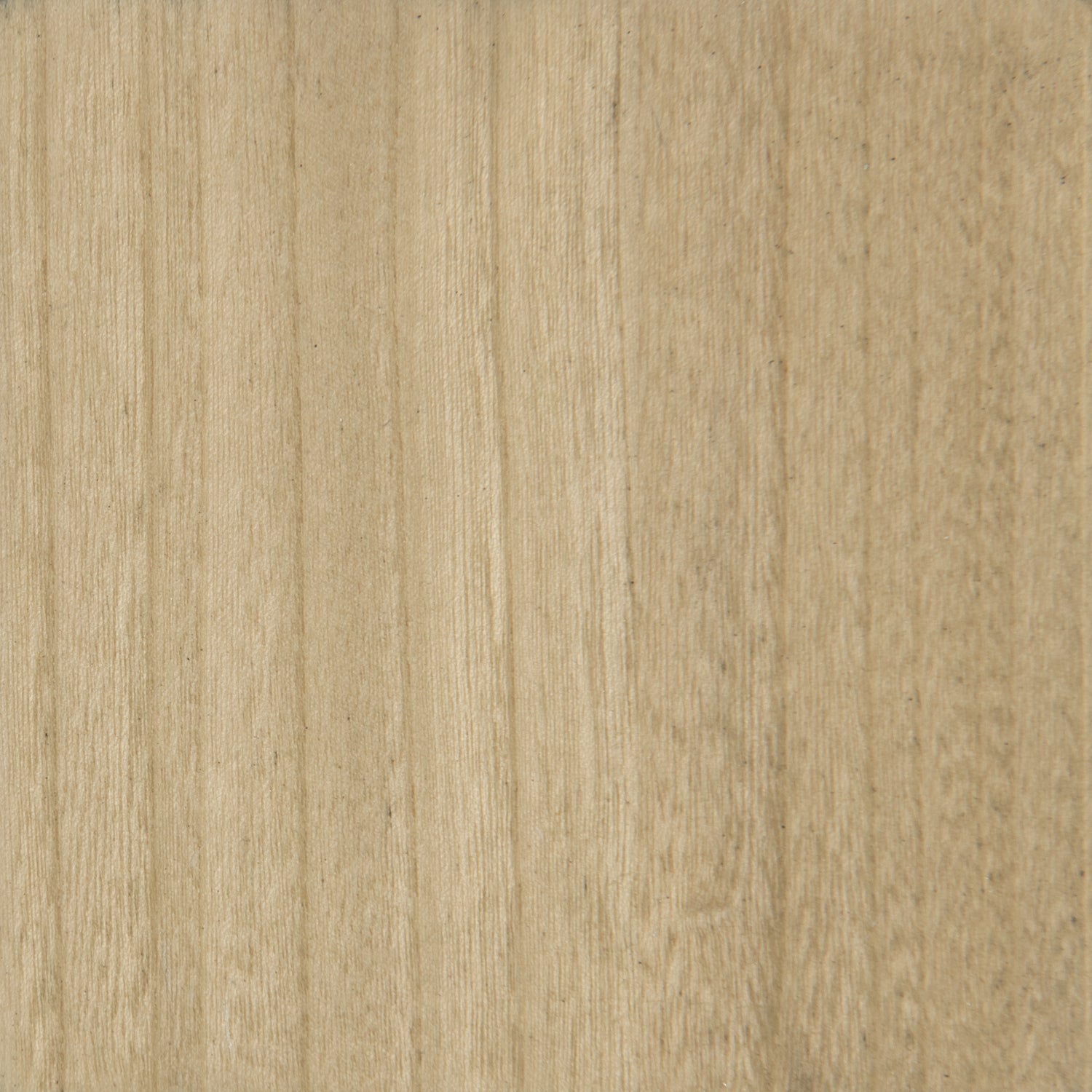 Caracole Modern Resort Palma