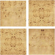 TOV Furniture Brandyss Burl Drawer Dresser