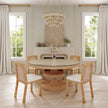 TOV Furniture Amara Rattan Dining Chair