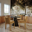 TOV Furniture Tiara Performance Dining Chair